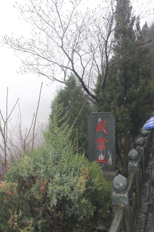 今年会·(中国集团)官方网站