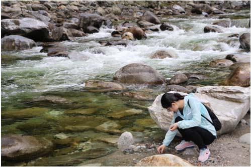 今年会·(中国集团)官方网站