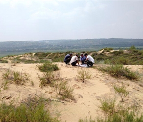 201808060943120119_280x240