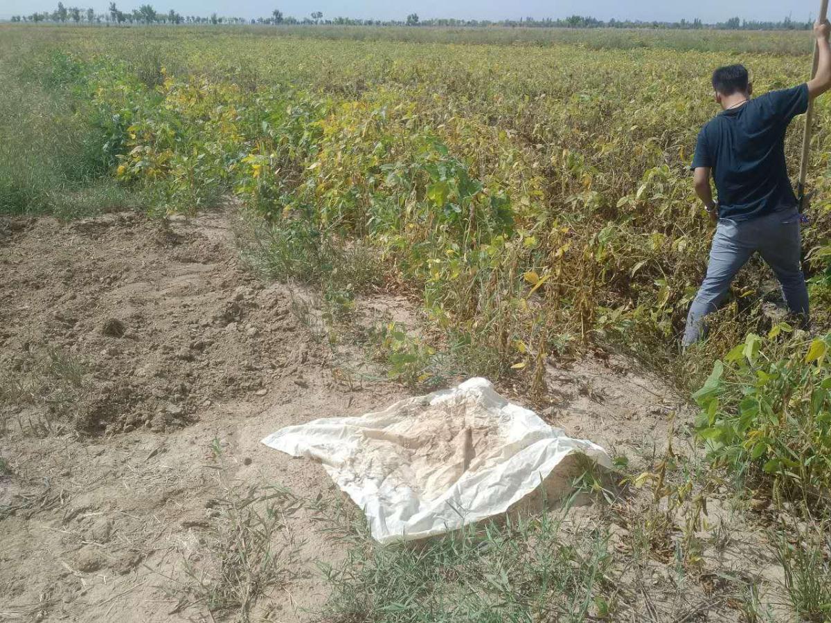 今年会·(中国集团)官方网站