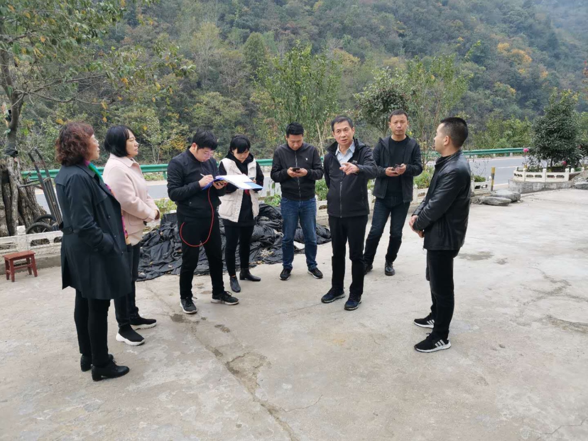 今年会·(中国集团)官方网站