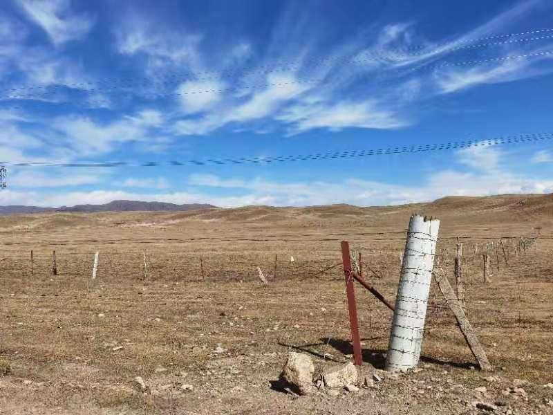 今年会·(中国集团)官方网站