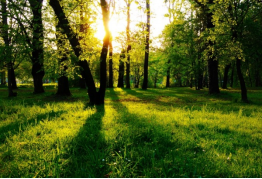 今年会·(中国集团)官方网站