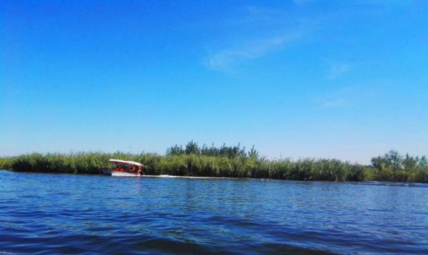 今年会·(中国集团)官方网站