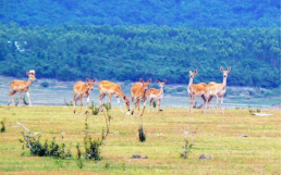 今年会·(中国集团)官方网站