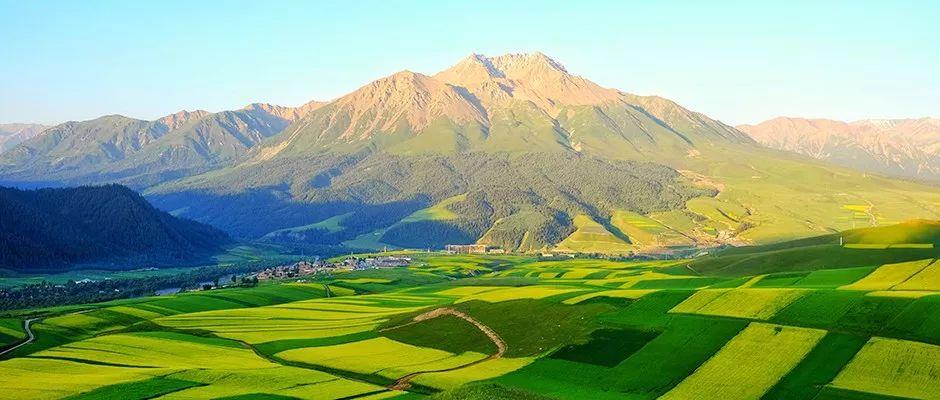 今年会·(中国集团)官方网站