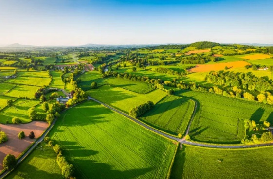 今年会·(中国集团)官方网站