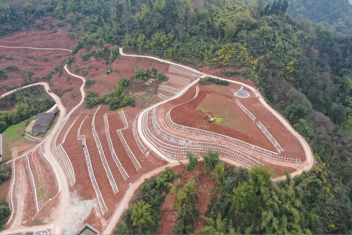 今年会·(中国集团)官方网站