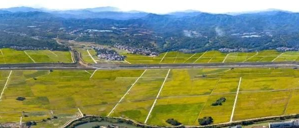 今年会·(中国集团)官方网站