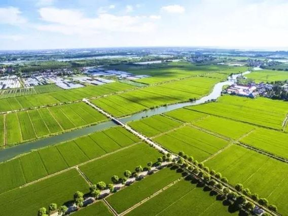 今年会·(中国集团)官方网站